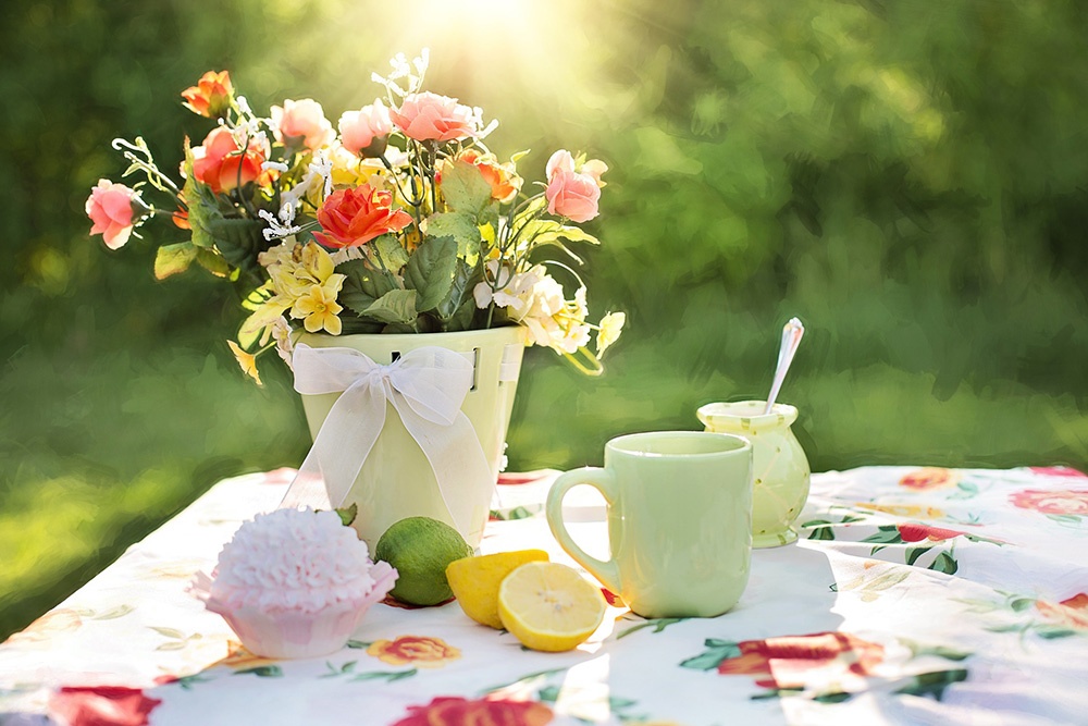 der private Garten. Seifert Galabau Bad Nenndorf